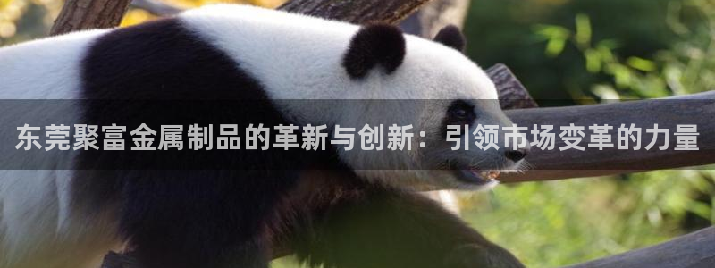 伟德国际betvlctor1946：东莞聚富金属制品的革新与创新：引领市场变革的力量