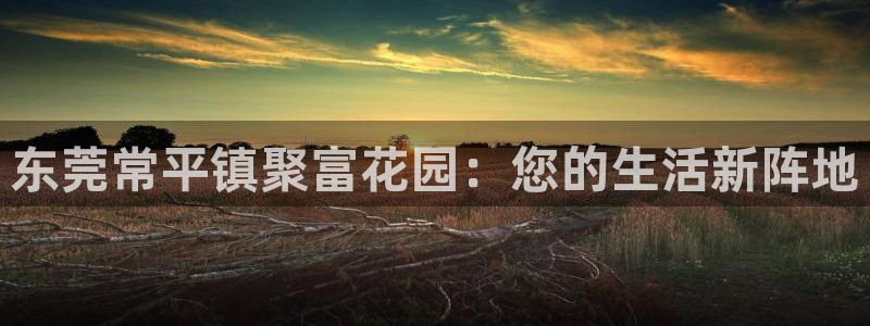 伟德国际1946体育：东莞常平镇聚富花园：您的生活新阵地