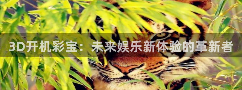 伟德国际app下载安装：3D开机彩宝：未来娱乐新体验的革新者