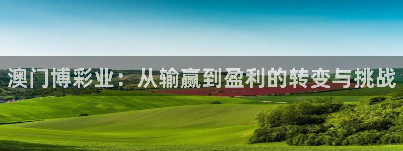 伟德国际mobi：澳门博彩业：从输赢到盈利的转变与挑战