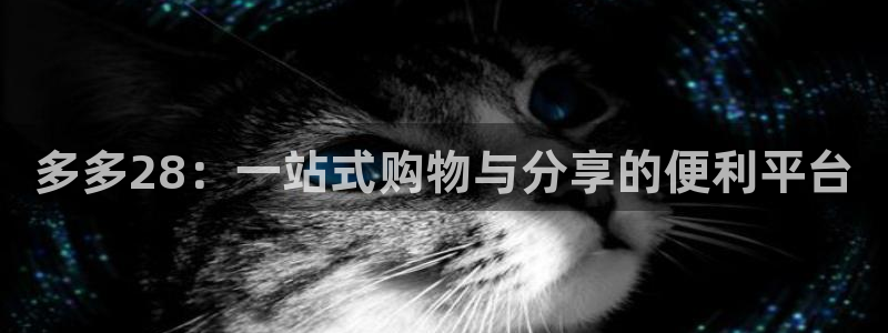 伟德国际公司：多多28：一站式购物与分享的便利平台