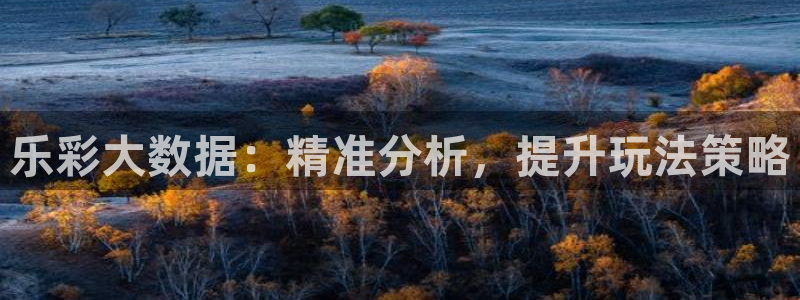 伟德国际app苹果版下载：乐彩大数据：精准分析，提升玩法策略