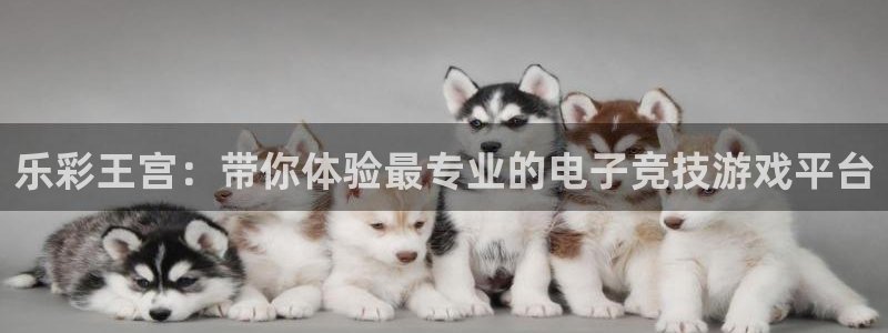 伟德国际app：乐彩王宫：带你体验最专业的电子竞技游戏平台