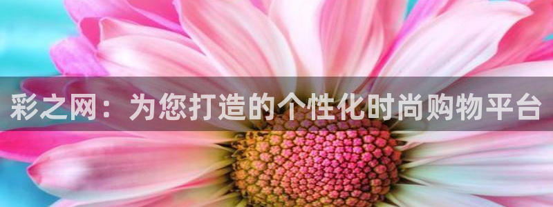 伟德app安卓版下载：彩之网：为您打造的个性化时尚购物平台