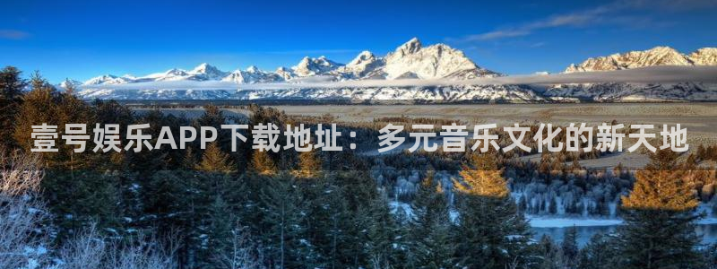 伟德国际官网_伟德国际平台：壹号娱乐APP下载地址：多元音乐文化的新天地